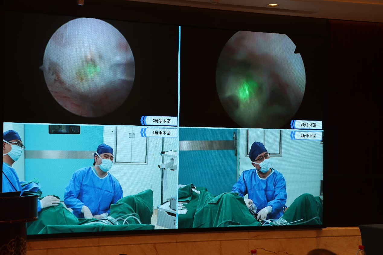 图片 11.png 图片 11.png